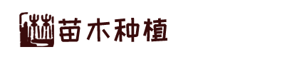 678体育-全网最权威热门体育赛事直播免费在线平台